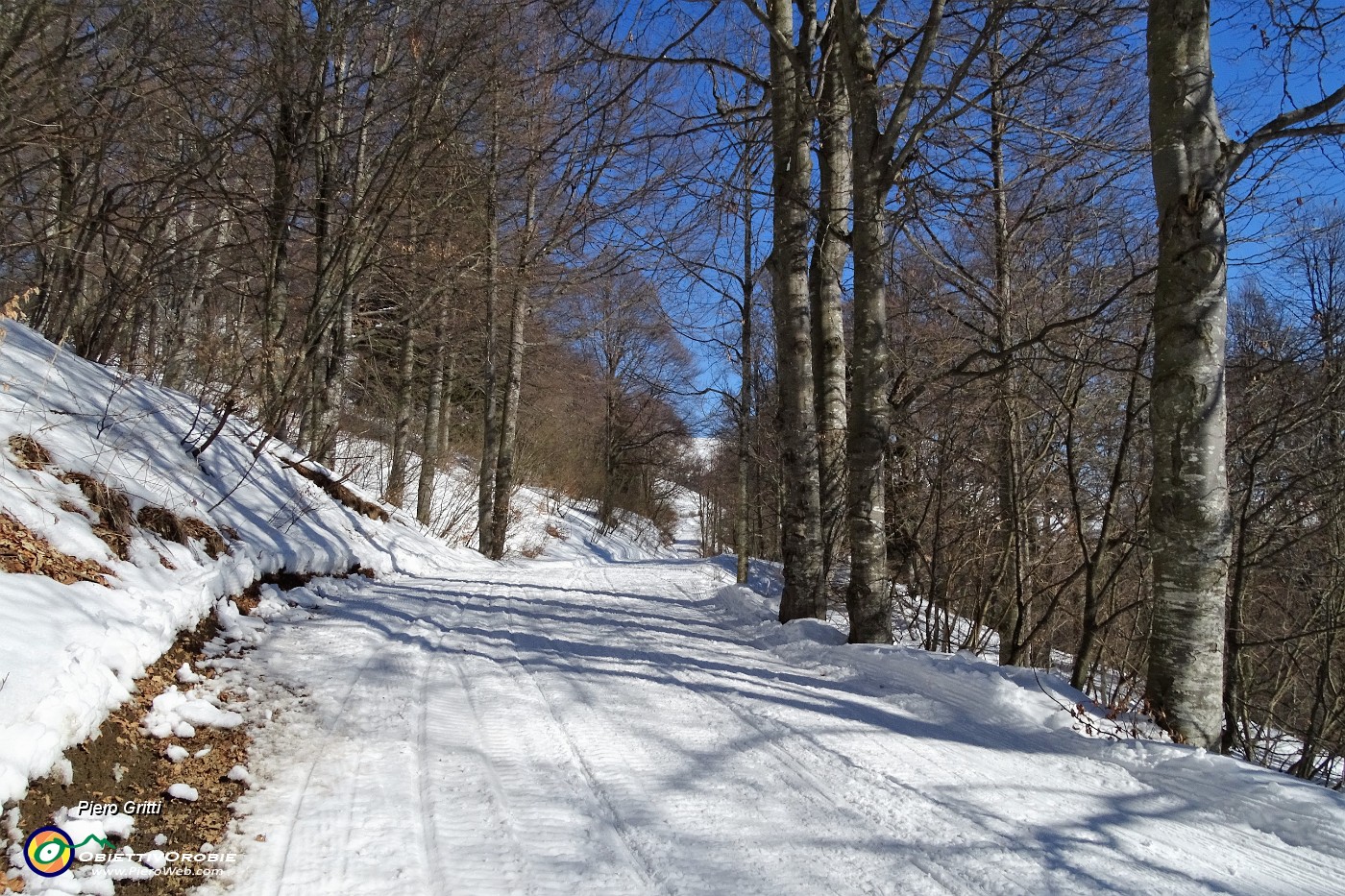 36 Proseguo su ampia strada agrosilvopastorale.JPG